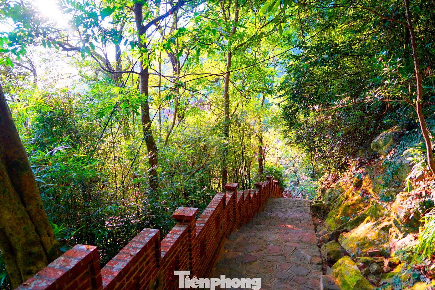 Đi trong rừng Yên Tử mùa thu cho ta cảm giác sâu lắng, trầm mặc. Tiếng chuông chùa vang vọng khắp núi rừng, hoà quyện cùng tiếng chim hót, tiếng gió thu luồn qua kẽ lá xào xạc. Tâm hồn như được chữa lành.