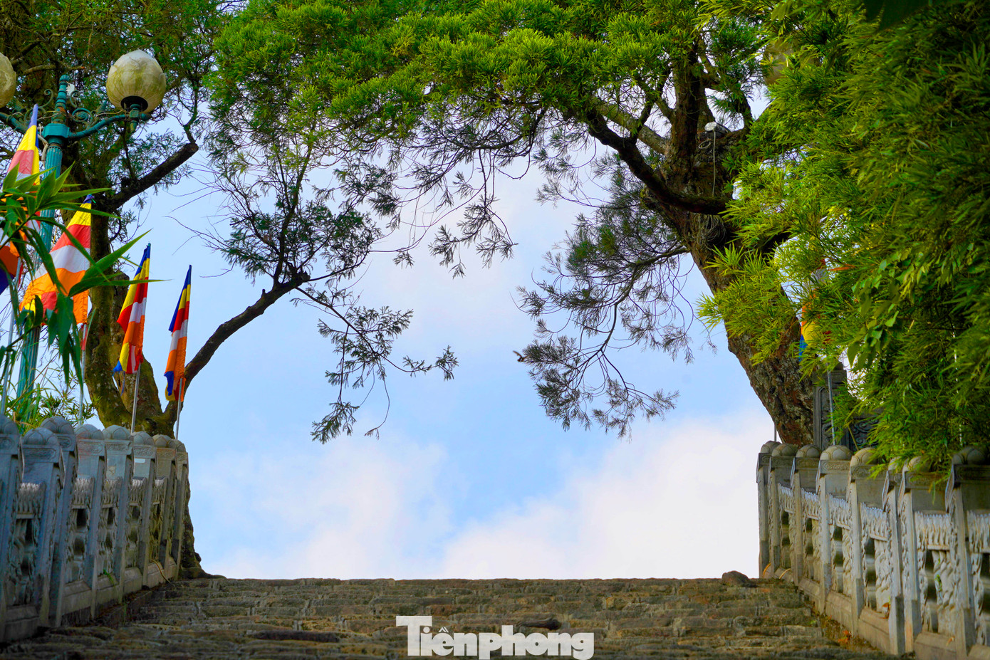 Không khí trong lành, yên tĩnh, du khách có thể đắm mình vào thiên nhiên để cảm nhận sự giao thoa của đất trời.