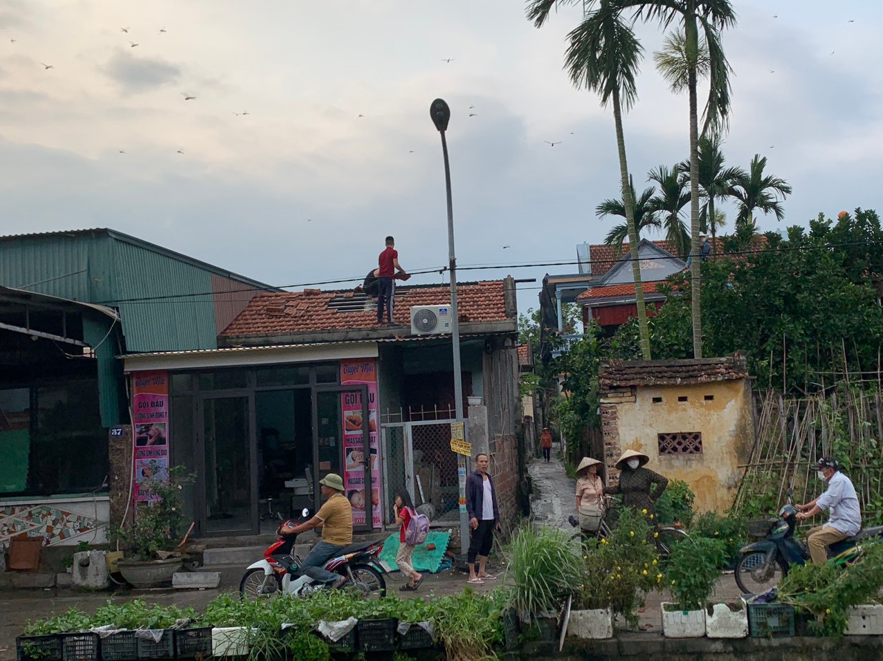 Người dân Quảng Yên được một phen hú vía khi bị lốc xoáy quét qua. Người dân Quảng Yên được một phen hú vía khi bị lốc xoáy quét qua.