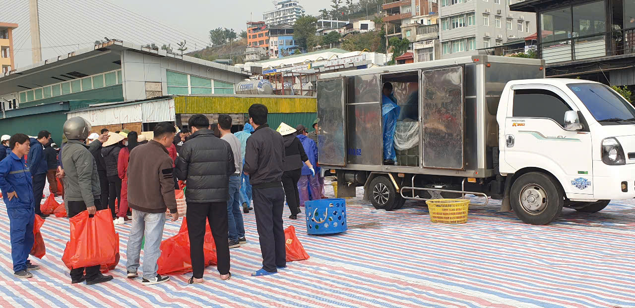 Công nhân tập trung nhận cá là quà Tết từ công ty.