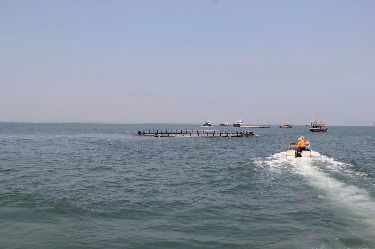 Toàn bộ kinh phí liên quan công tác quản lý và di chuyển, trao trả bên phía Việt Nam do UBND thành phố Móng Cái bố trí. Toàn bộ kinh phí liên quan công tác quản lý và di chuyển, trao trả bên phía Việt Nam do UBND thành phố Móng Cái bố trí.