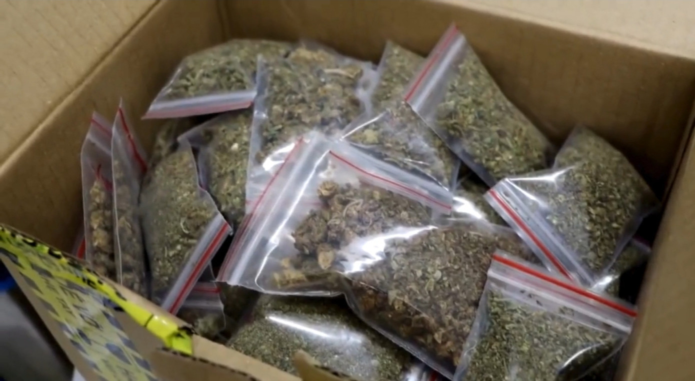 Cần sa được chia nhỏ từng gói rồi gửi qua đường hàng không. Cần sa được chia nhỏ từng gói rồi gửi qua đường hàng không.