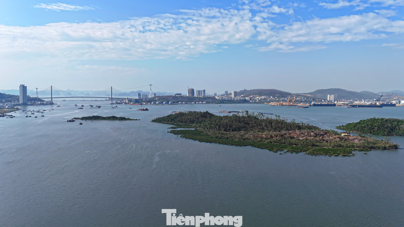 Trường hợp Công ty Cổ phần Tập đoàn INDEVCO không tiếp tục thực hiện dự án, yêu cầu có văn bản báo cáo để UBND tỉnh Quảng Ninh xem xét thu hồi đất.