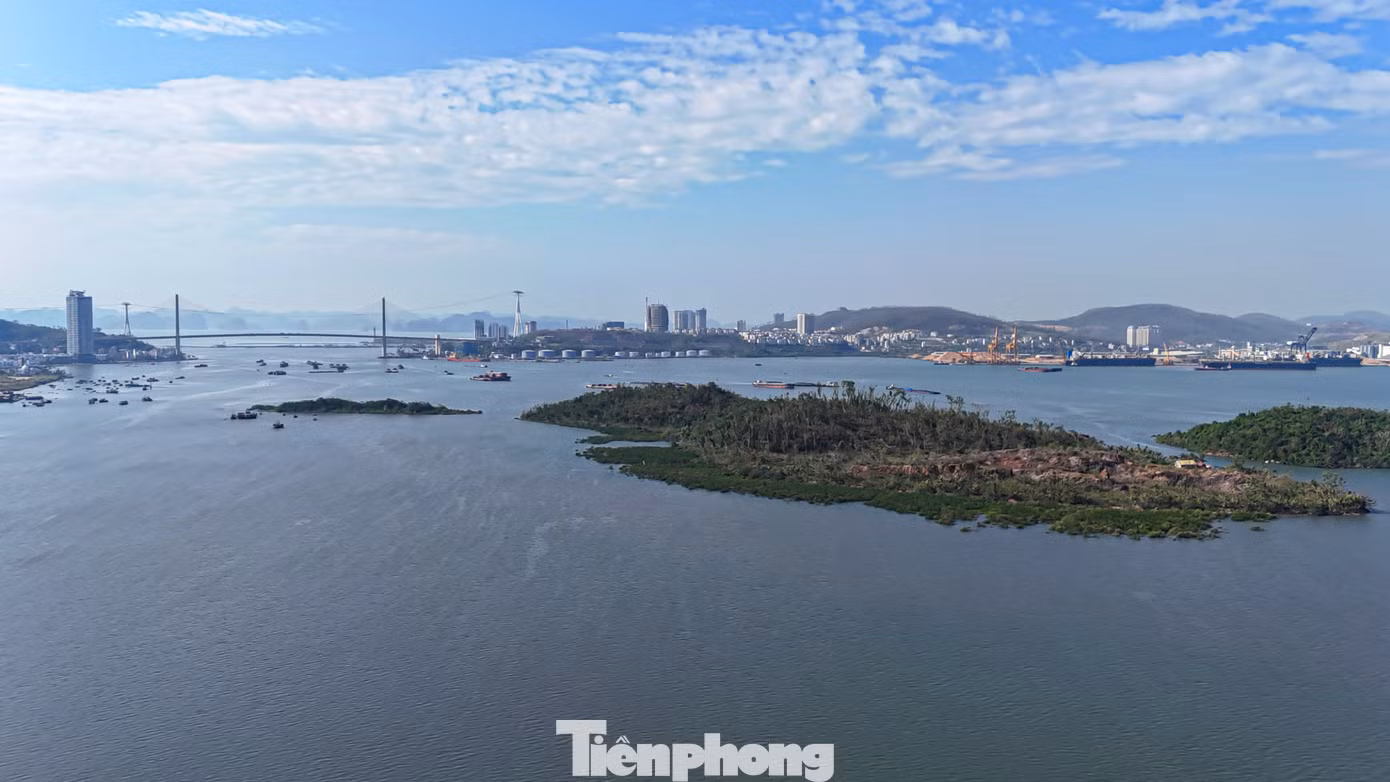Trường hợp Công ty Cổ phần Tập đoàn INDEVCO không tiếp tục thực hiện dự án, yêu cầu có văn bản báo cáo để UBND tỉnh Quảng Ninh xem xét thu hồi đất. Trường hợp Công ty Cổ phần Tập đoàn INDEVCO không tiếp tục thực hiện dự án, yêu cầu có văn bản báo cáo để UBND tỉnh Quảng Ninh xem xét thu hồi đất.