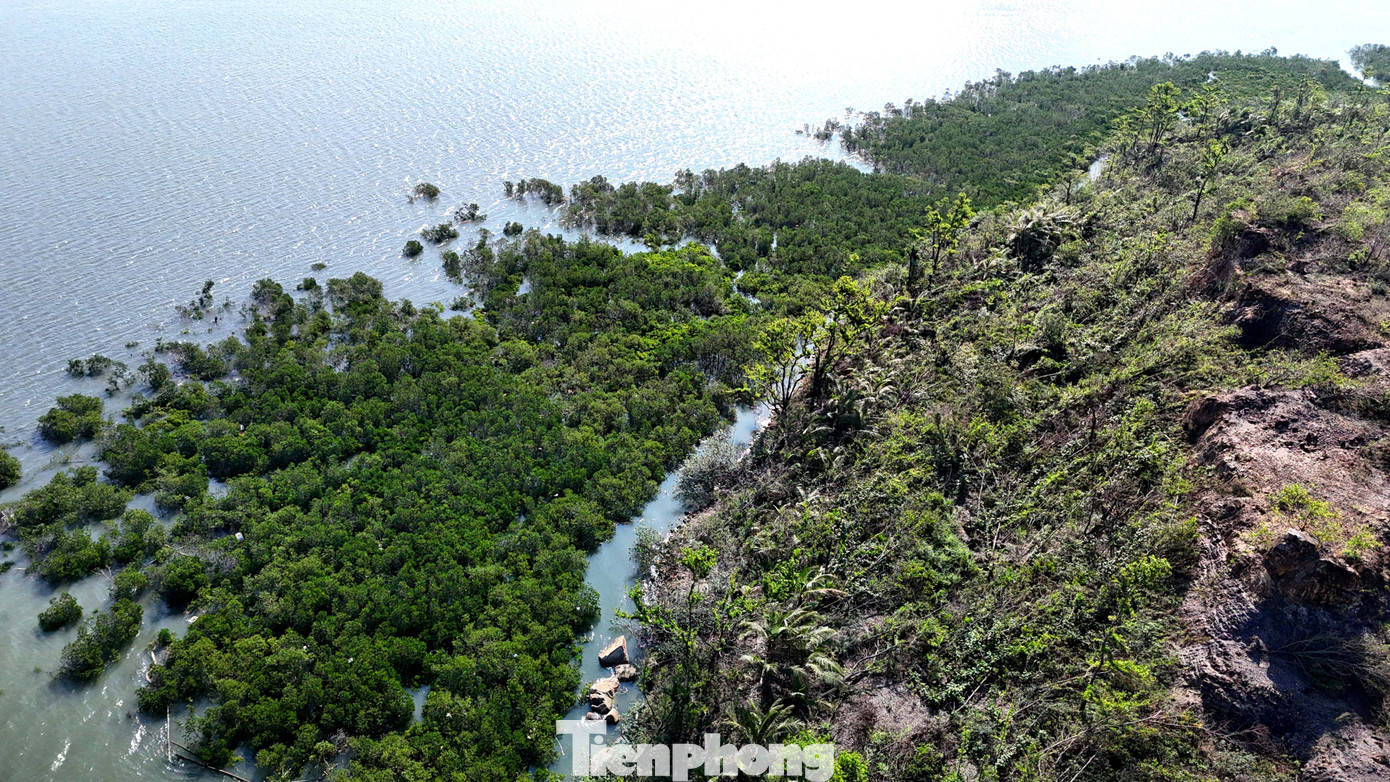 Nhưng phía Công ty CP Tập đoàn INDEVCO khẳng định, số tiền hơn 21 tỉ đồng mà công ty trả một lần vào năm 2007 là để thuê diện tích đất làm thương mại, dịch vụ và du lịch theo quy hoạch chi tiết là khoảng 15,2ha và không có diện tích đất quy hoạch lâm nghiệp thì mới đủ điều kiện để xây dựng một khu du lịch sinh thái.