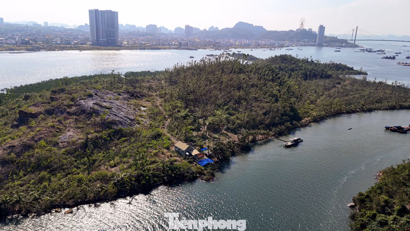 Đại diện Chủ đầu tư lý giải về việc bỏ hoang dự án vì lo ngại vấn đề ô nhiễm bụi xi măng, clinker và tiếng ồn từ các cảng của 2 nhà máy xi măng gần đó. Họ cũng tính đến viễn cảnh Khu du lịch xây dựng xong cũng không thể đón khách vì tình trạng ô nhiễm môi trường, bởi họ nhắm tới đối tượng khách cao cấp. Đại diện Chủ đầu tư lý giải về việc bỏ hoang dự án vì lo ngại vấn đề ô nhiễm bụi xi măng, clinker và tiếng ồn từ các cảng của 2 nhà máy xi măng gần đó. Họ cũng tính đến viễn cảnh Khu du lịch xây dựng xong cũng không thể đón khách vì tình trạng ô nhiễm môi trường, bởi họ nhắm tới đối tượng khách cao cấp.