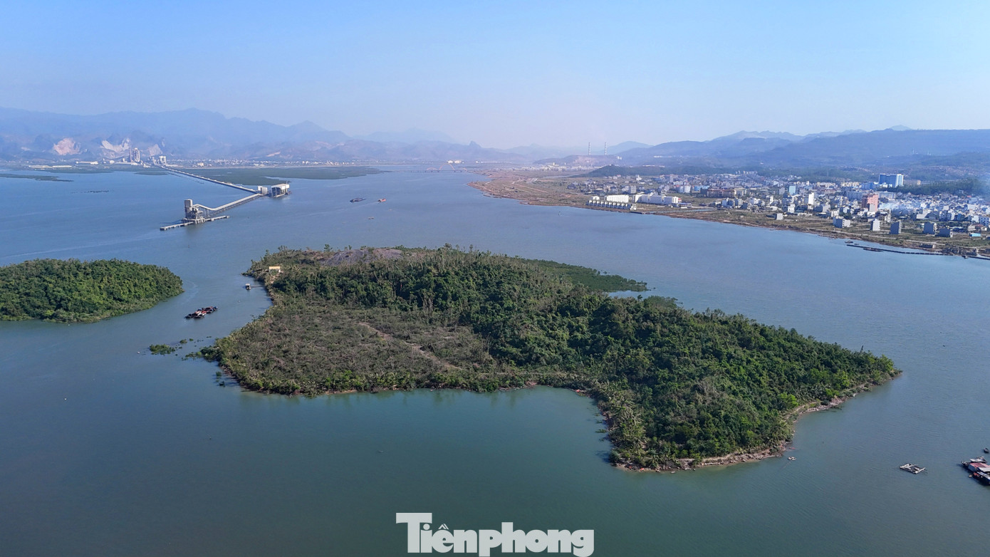 Năm 2010, UBND tỉnh Quảng Ninh đã có công văn yêu cầu Công ty CP Tập đoàn INDEVCO phải đẩy nhanh tiến độ thực hiện dự án theo tiến độ ghi trong dự án đầu tư, báo cáo giải trình về tiến độ thực hiện dự án; đồng thời cam kết thời gian hoàn thành dự án, trình UBND tỉnh Quảng Ninh xem xét, quyết định gia hạn thời gian thực hiện dự án theo quy định.