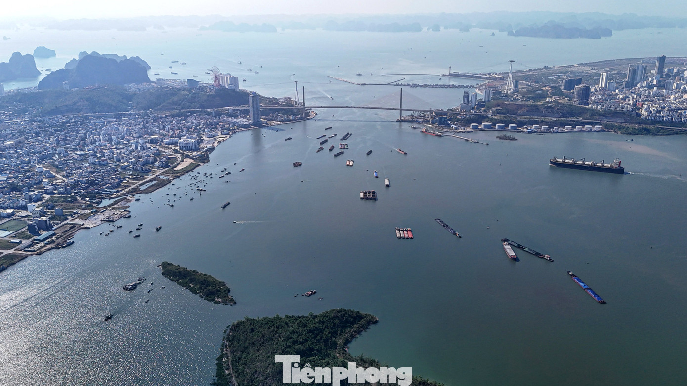 Trong khi đó, để giải quyết được các vấn đề ô nhiễm trên, chủ đầu tư phải đợi đến ít nhất năm 2030 khi Quảng Ninh dự kiến di dời các nhà máy xi măng nằm bên bờ vịnh Cửa Lục đi nơi khác.