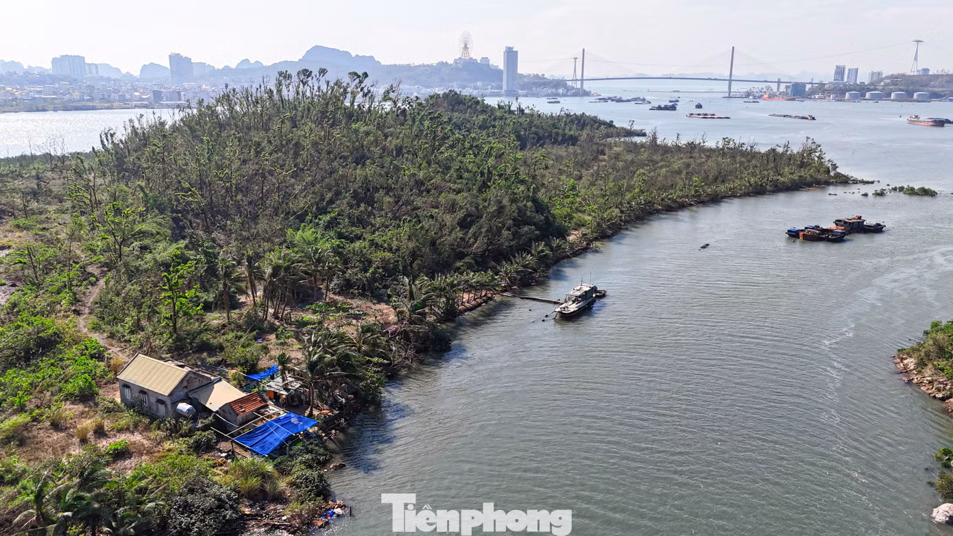 Việc Công ty CP Tập đoàn INDEVCO lo ngại ô nhiễm cũng có cơ sở nhưng cần xem xét lại chủ trương đầu tư và lộ trình thực hiện dự án sau 17 năm liệu còn phù hợp. Còn rất nhiều doanh nghiệp trong và ngoài tỉnh cần không gian để phát triển. Việc để hoang một hòn đảo tuyệt đẹp trong thời gian dài là lãng phí tài nguyên. Việc Công ty CP Tập đoàn INDEVCO lo ngại ô nhiễm cũng có cơ sở nhưng cần xem xét lại chủ trương đầu tư và lộ trình thực hiện dự án sau 17 năm liệu còn phù hợp. Còn rất nhiều doanh nghiệp trong và ngoài tỉnh cần không gian để phát triển. Việc để hoang một hòn đảo tuyệt đẹp trong thời gian dài là lãng phí tài nguyên.