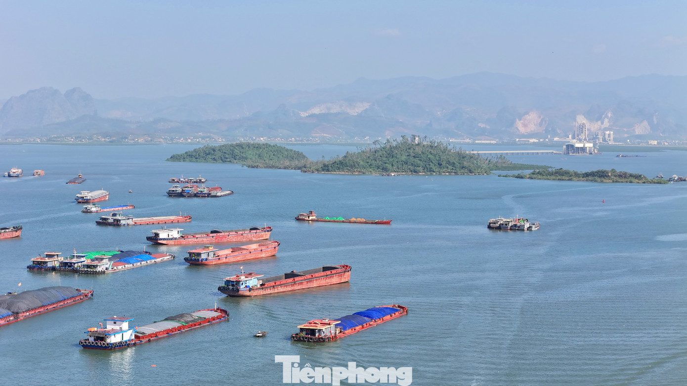 Nhưng sau 17 năm, hòn đảo này vẫn bị bỏ hoang, nằm trơ trọi giữa vịnh Cửa Lục.