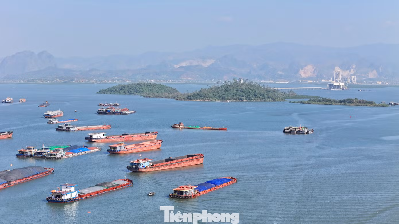 Nhưng sau 17 năm, hòn đảo này vẫn bị bỏ hoang, nằm trơ trọi giữa vịnh Cửa Lục. Nhưng sau 17 năm, hòn đảo này vẫn bị bỏ hoang, nằm trơ trọi giữa vịnh Cửa Lục.