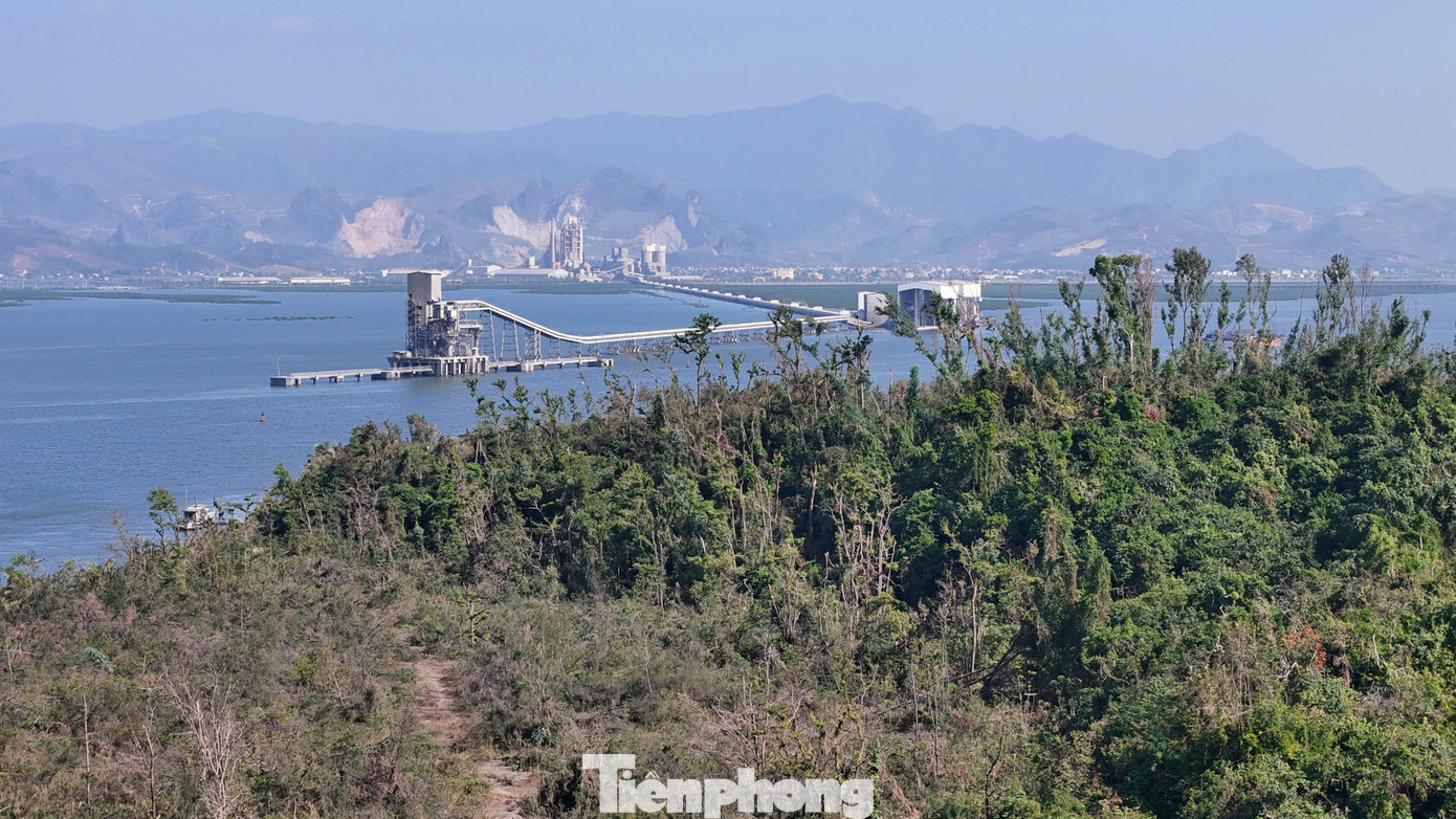 Theo quyết định phê duyệt Dự án Khu du lịch sinh thái đảo Hòn Gạc, công ty này sẽ đầu tư các công trình, gồm: Khách sạn 7 tầng, sân bay trực thăng, bãi tắm, vườn mê cung, bảo tàng sinh vật biển, công viên vui chơi cảm giác mạnh, bến du thuyền, khán đài nhạc nước, khu chợ quê, khu nhà hàng ven biển, nhà nghỉ ven đồi, quảng trường, bãi đá…