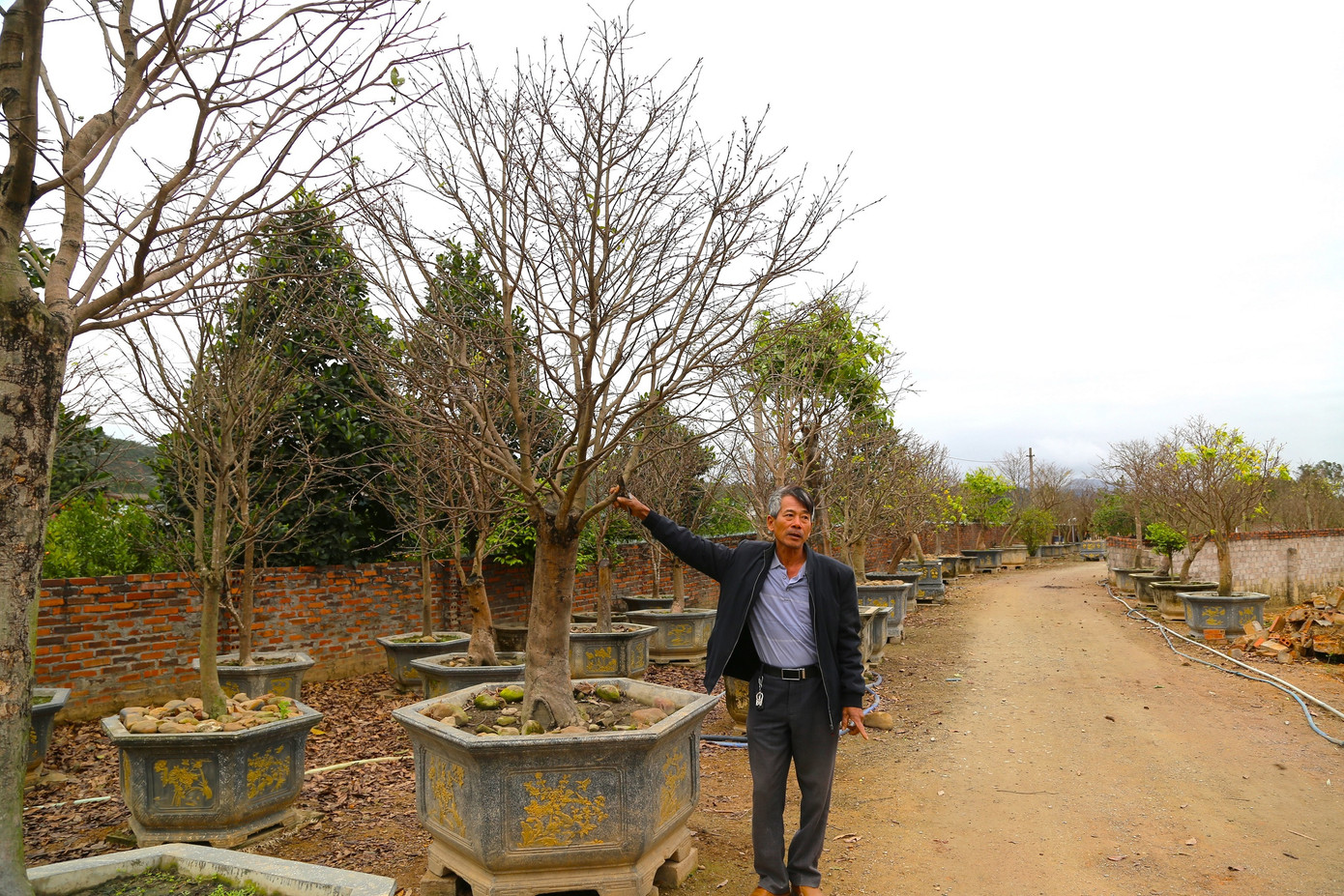 Ngoài ghép cành, ươm giống, ông Nam còn chăm cây trong nhà kính. Những hôm thời tiết rét đậm còn phải thắp đèn sợi đốt để giữ nhiệt tránh chết cây. Ngoài ghép cành, ươm giống, ông Nam còn chăm cây trong nhà kính. Những hôm thời tiết rét đậm còn phải thắp đèn sợi đốt để giữ nhiệt tránh chết cây.