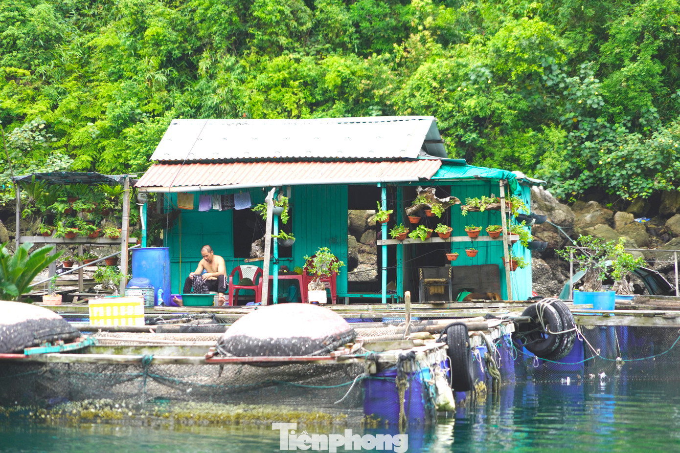 Du khách sẽ có cảm giác như được "sạc" lại năng lượng để sẵn sàng cho những ngày trở lại nhịp sống của thành phố khi lênh đênh trên những con thuyền nhỏ, thả mình trong làn gió biển tươi mát.