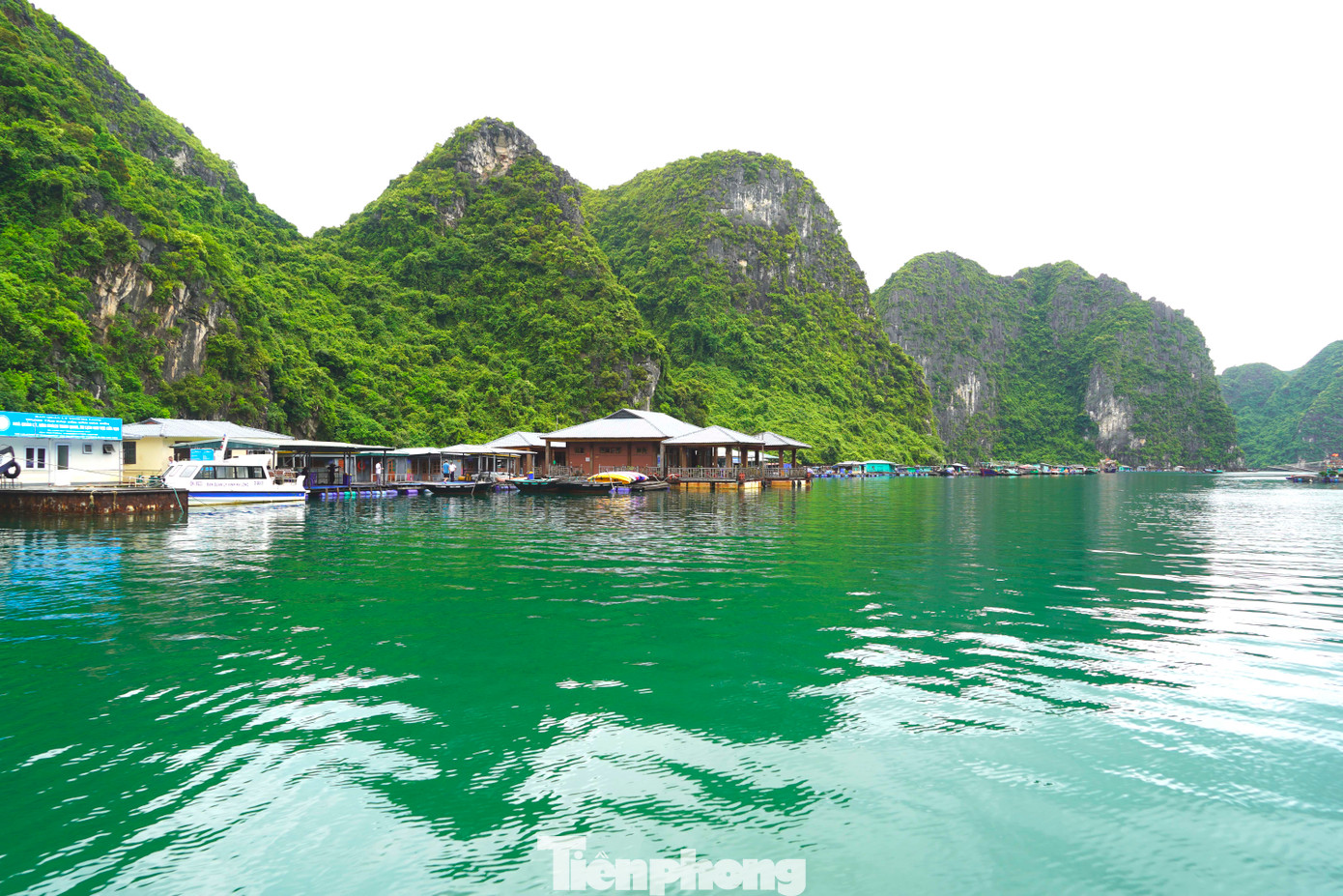 Du khách chắc chắn sẽ không khỏi ngạc nhiên và thích thú khi được tận mắt chiêm ngưỡng những ngôi nhà nổi nhỏ xinh đẹp.