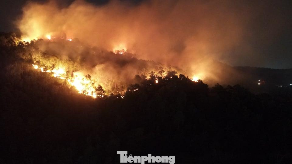 Hàng loạt cây trồng như keo, bạch đàn, thông bị đám cháy thiêu rụi.