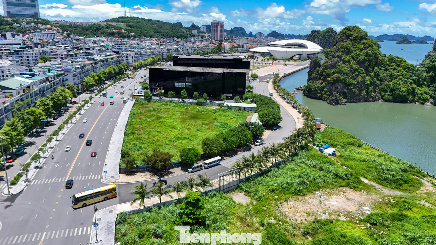 Tuy nhiên, sau gần 10 năm từ ngày khởi công, dự án khách sạn 5 sao trị giá 40 triệu USD vẫn chỉ là bãi đất bỏ hoang.