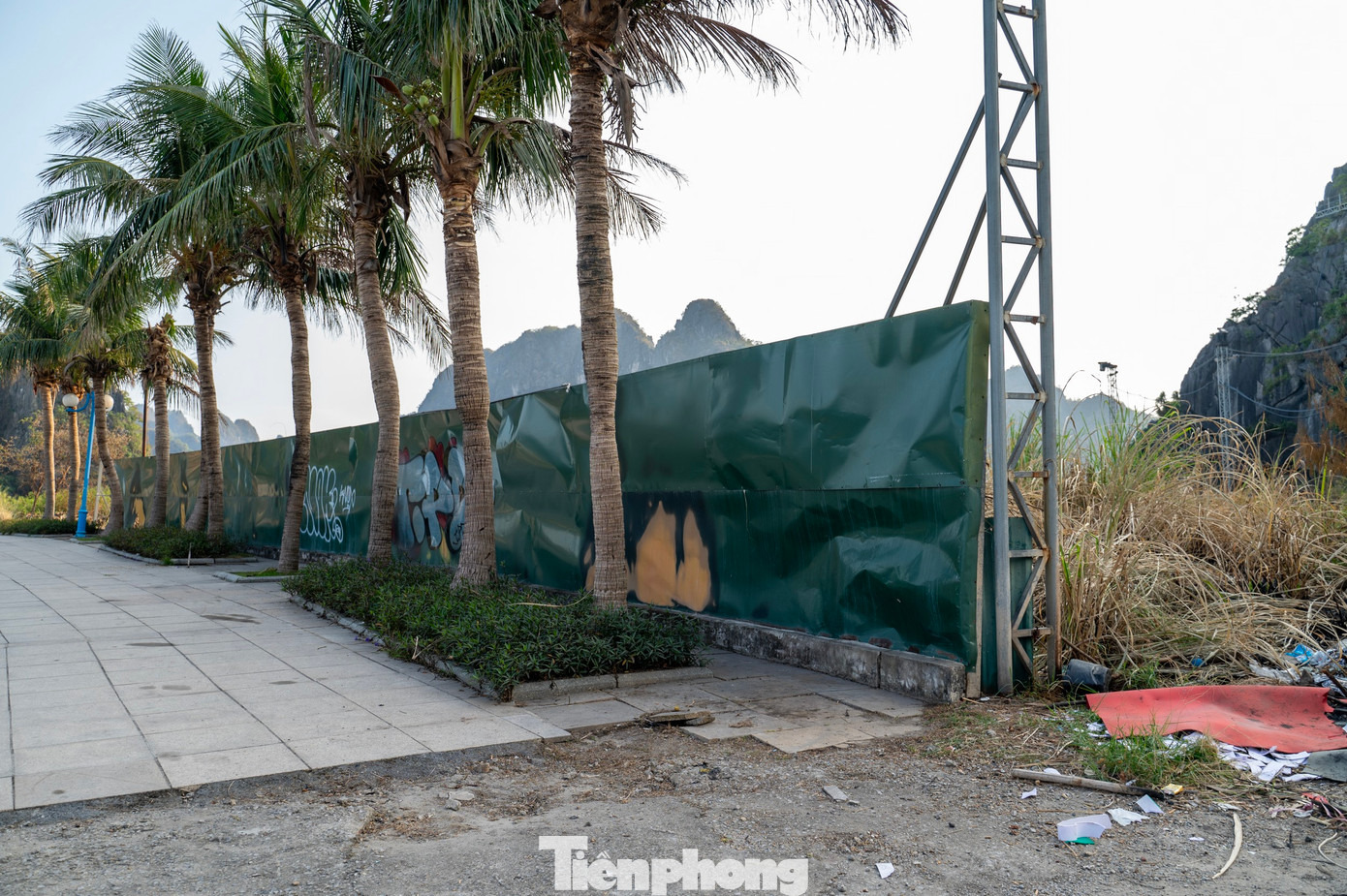 Ghi nhận của phóng viên Tiền Phong, khu tổ hợp khách sạn trên vẫn quây rào tôn xung quanh, phía bên trong cỏ dại mọc um tùm cao quá đầu người, không có công nhân thi công.