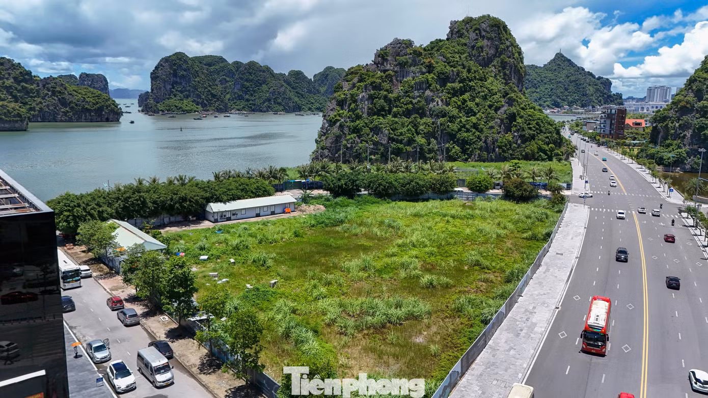 Chị Nguyễn Thị Nhung, trú phường Hồng Hải (đối diện dự án), cho biết chưa từng thấy máy móc hay thiết bị nào vào bên trong dự án để hoạt động xây dựng. Chị Nguyễn Thị Nhung, trú phường Hồng Hải (đối diện dự án), cho biết chưa từng thấy máy móc hay thiết bị nào vào bên trong dự án để hoạt động xây dựng.