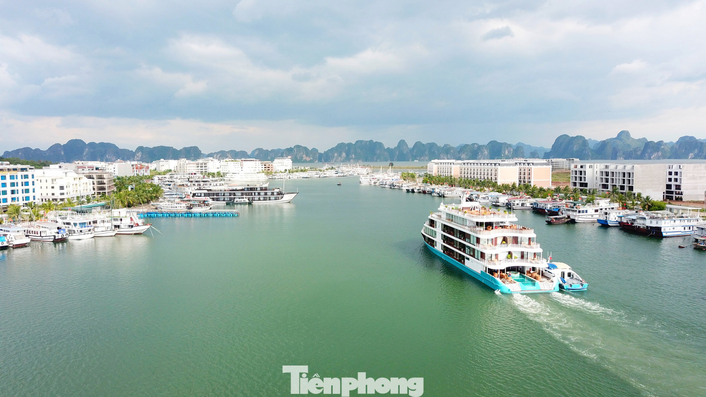 Sự kiện “Nghệ thuật vì khí hậu - vịnh Hạ Long 2025” sẽ được lùi lại đến tháng 6/2025.