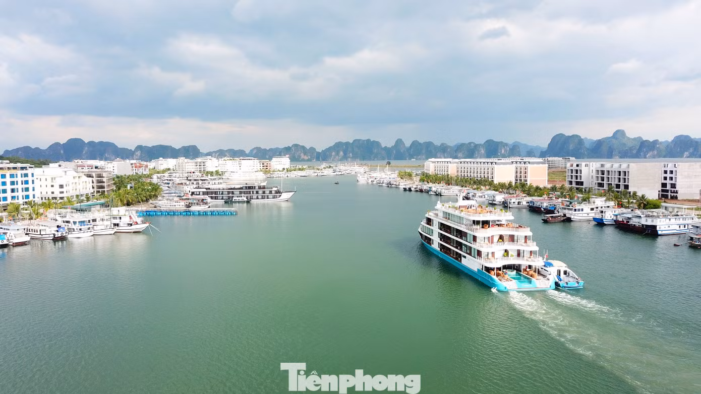 Từ tháng 8/2023, việc quản lý tàu du lịch trên vịnh Hạ Long được chuyển từ UBND TP. Hạ Long về cho Sở GTVT Quảng Ninh. Ảnh: Hoàng Dương. Từ tháng 8/2023, việc quản lý tàu du lịch trên vịnh Hạ Long được chuyển từ UBND TP. Hạ Long về cho Sở GTVT Quảng Ninh. Ảnh: Hoàng Dương.
