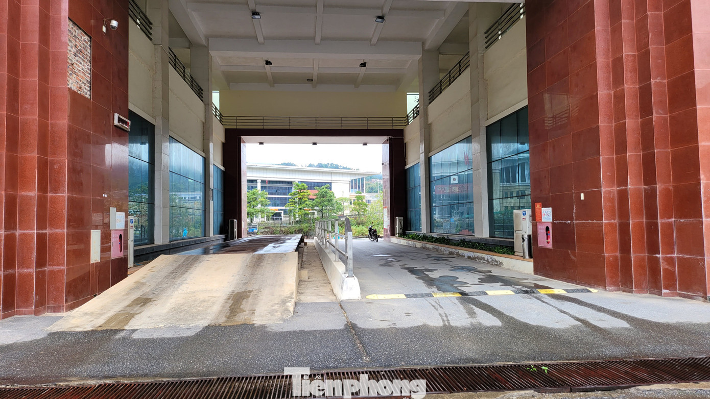 Trong số 15 tấn hàng xuất khẩu hàng ngày đều là các loại nguyên liệu để làm thủ công mỹ nghệ như cói khô và thân bèo tây khô có xuất xứ từ miền Trung. Trong số 15 tấn hàng xuất khẩu hàng ngày đều là các loại nguyên liệu để làm thủ công mỹ nghệ như cói khô và thân bèo tây khô có xuất xứ từ miền Trung.