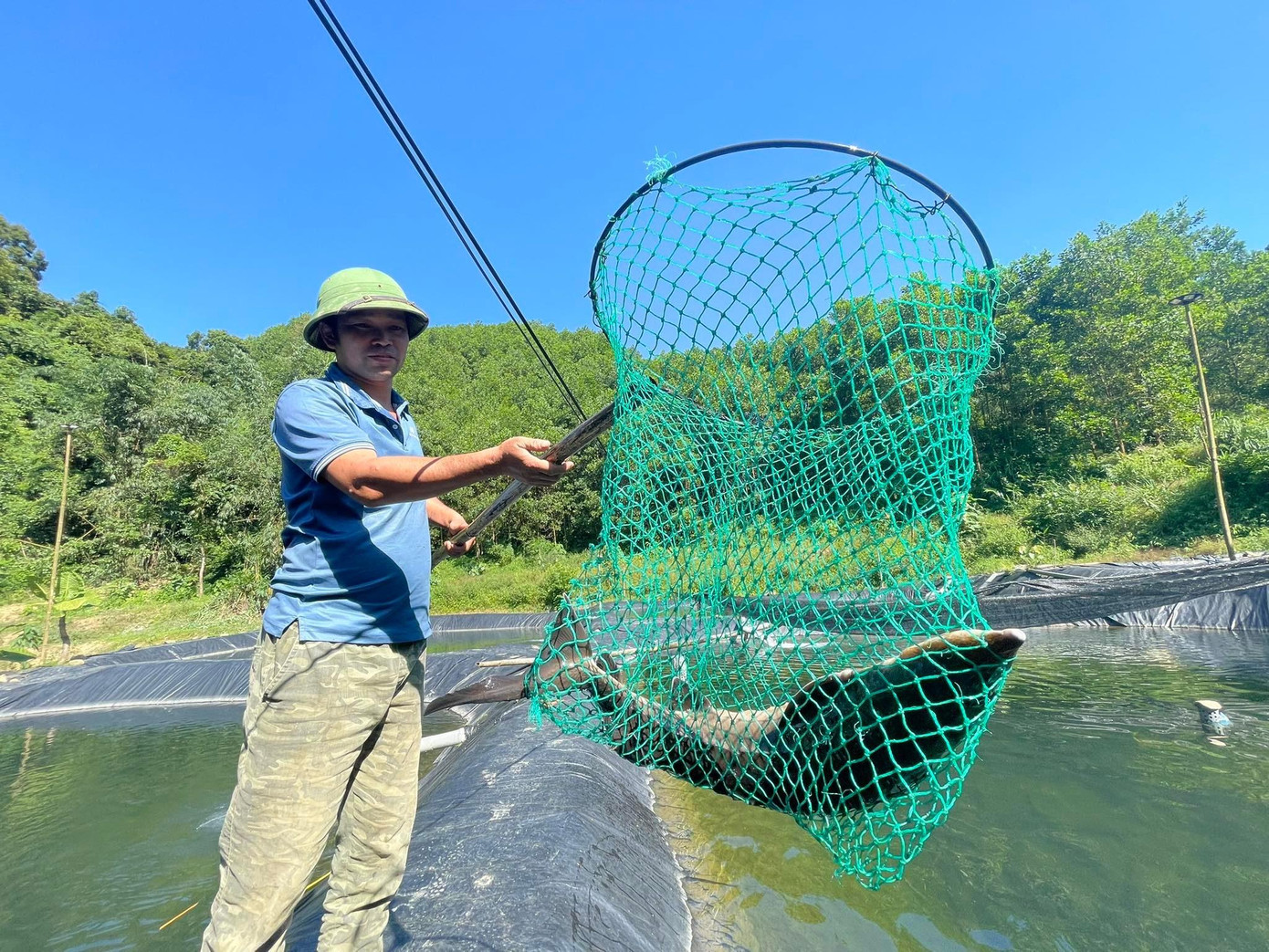 "Ông Mạ không những là người tiên phong trong phong trào phát triển kinh tế địa phương mà còn giúp nhiều hộ dân khác thoát nghèo nhờ mô hình nuôi cá tầm. Những hộ dân lân cận cũng đã đến nhà ông Mạ để học hỏi và vay vốn để đầu tư nuôi cá tầm, sắp tới mô hình này sẽ được nhân rộng và nhận được sự hỗ trợ của địa phương", Chủ tịch Hội Nông dân xã Phong Dụ ông Trần Văn Phùng cho biết.