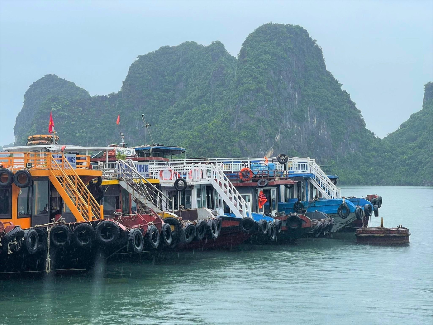 Các tàu phục vụ tham quan du lịch vịnh Hạ Long cũng được neo đậu tại vị trí quy định để tránh trú bão. Các tàu phục vụ tham quan du lịch vịnh Hạ Long cũng được neo đậu tại vị trí quy định để tránh trú bão.