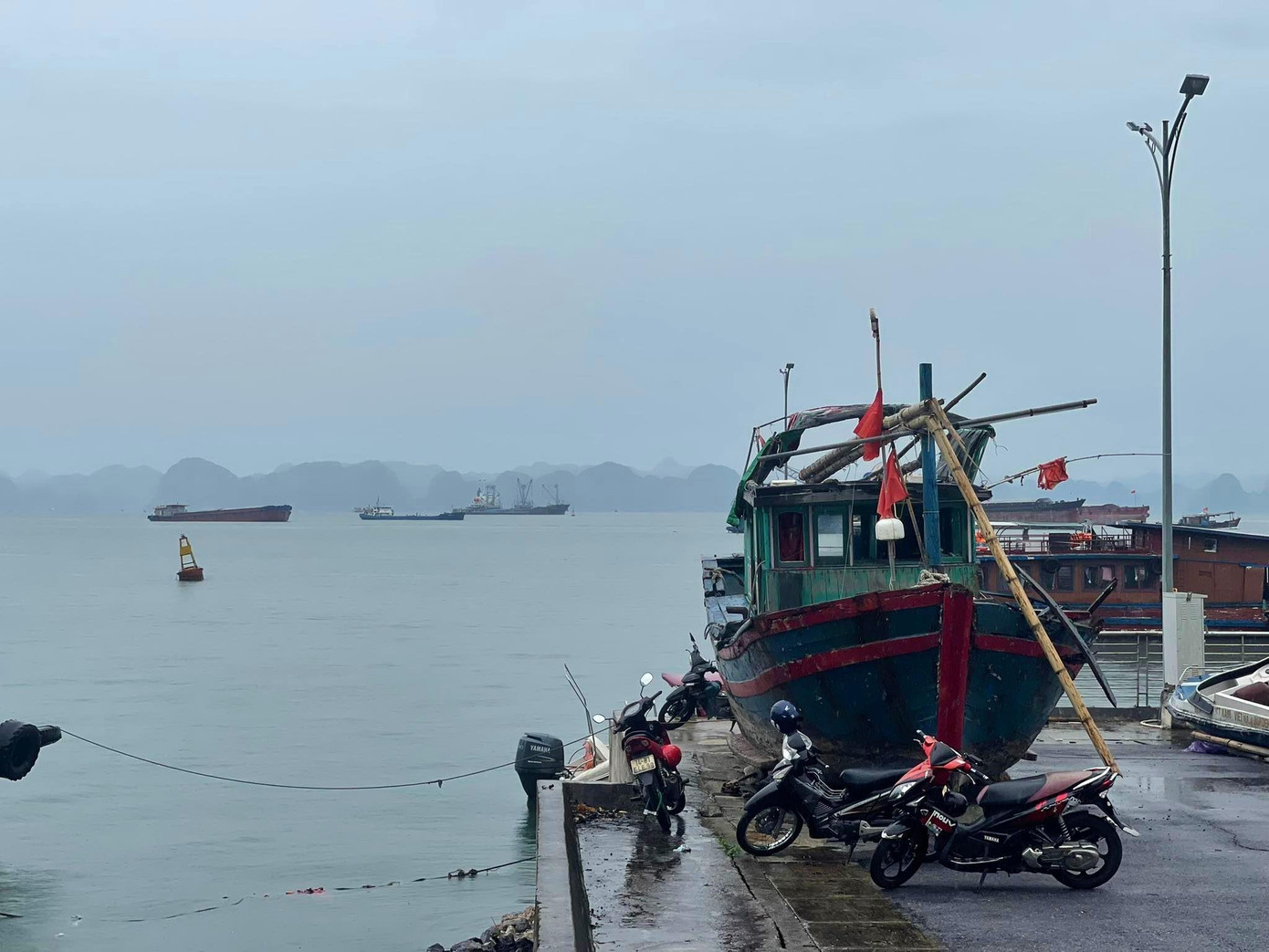 Một số tàu cá của ngư dân được cẩu lên bờ tránh bão tại khu vực bến Đoan, TP Hạ Long. Một số tàu cá của ngư dân được cẩu lên bờ tránh bão tại khu vực bến Đoan, TP Hạ Long.