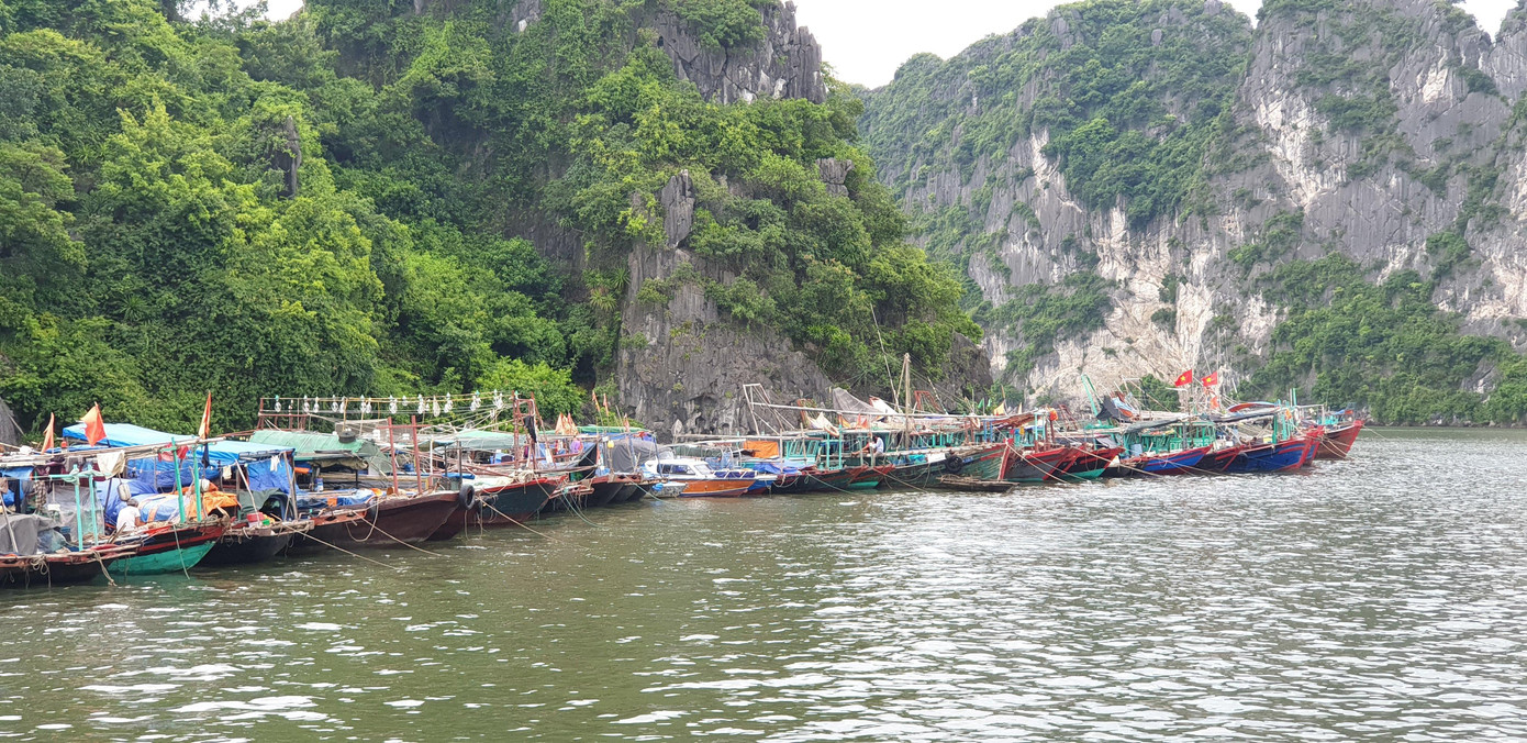 Kêu gọi tàu, thuyền về nơi tránh trú an toàn trước 17 giờ ngày 10/8.