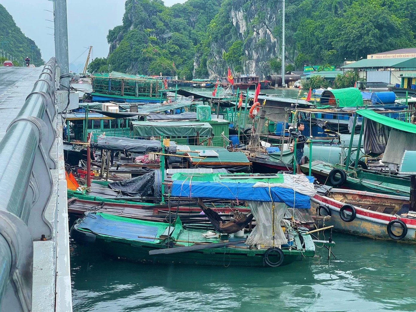 Ghi nhận của phóng viên vào chiều 10/8, tại khu vực cầu Bài Thơ, TP Hạ Long đã chật kín chỗ neo đậu của ngư dân vùng vịnh Hạ Long. Ghi nhận của phóng viên vào chiều 10/8, tại khu vực cầu Bài Thơ, TP Hạ Long đã chật kín chỗ neo đậu của ngư dân vùng vịnh Hạ Long.