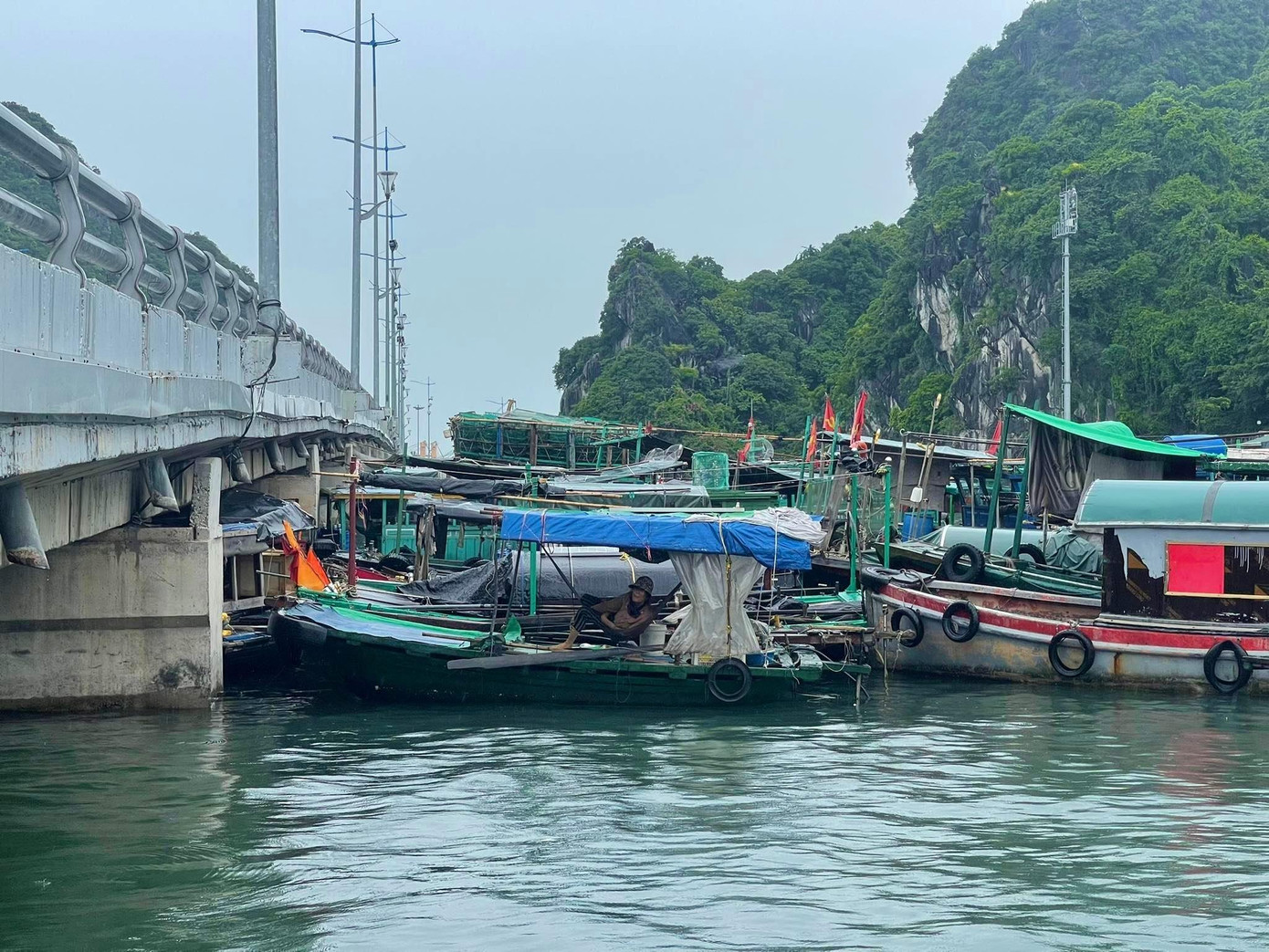 Giám đốc Sở Du lịch Quảng Ninh ông Phạm Ngọc Thuỷ cho biết, trong hôm nay có 6026 du khách tham quan vịnh Hạ Long. Đến thời điểm hiện tại, huyện Vân Đồn có 84 khách (đảo Minh Châu 42 khách, đảo Quan Lạn 20 khách, đảo Ngọc Vừng 22 khách). Đảo Cô Tô có 94 khách, trong đó 1 khách quốc tế. Giám đốc Sở Du lịch Quảng Ninh ông Phạm Ngọc Thuỷ cho biết, trong hôm nay có 6026 du khách tham quan vịnh Hạ Long. Đến thời điểm hiện tại, huyện Vân Đồn có 84 khách (đảo Minh Châu 42 khách, đảo Quan Lạn 20 khách, đảo Ngọc Vừng 22 khách). Đảo Cô Tô có 94 khách, trong đó 1 khách quốc tế.