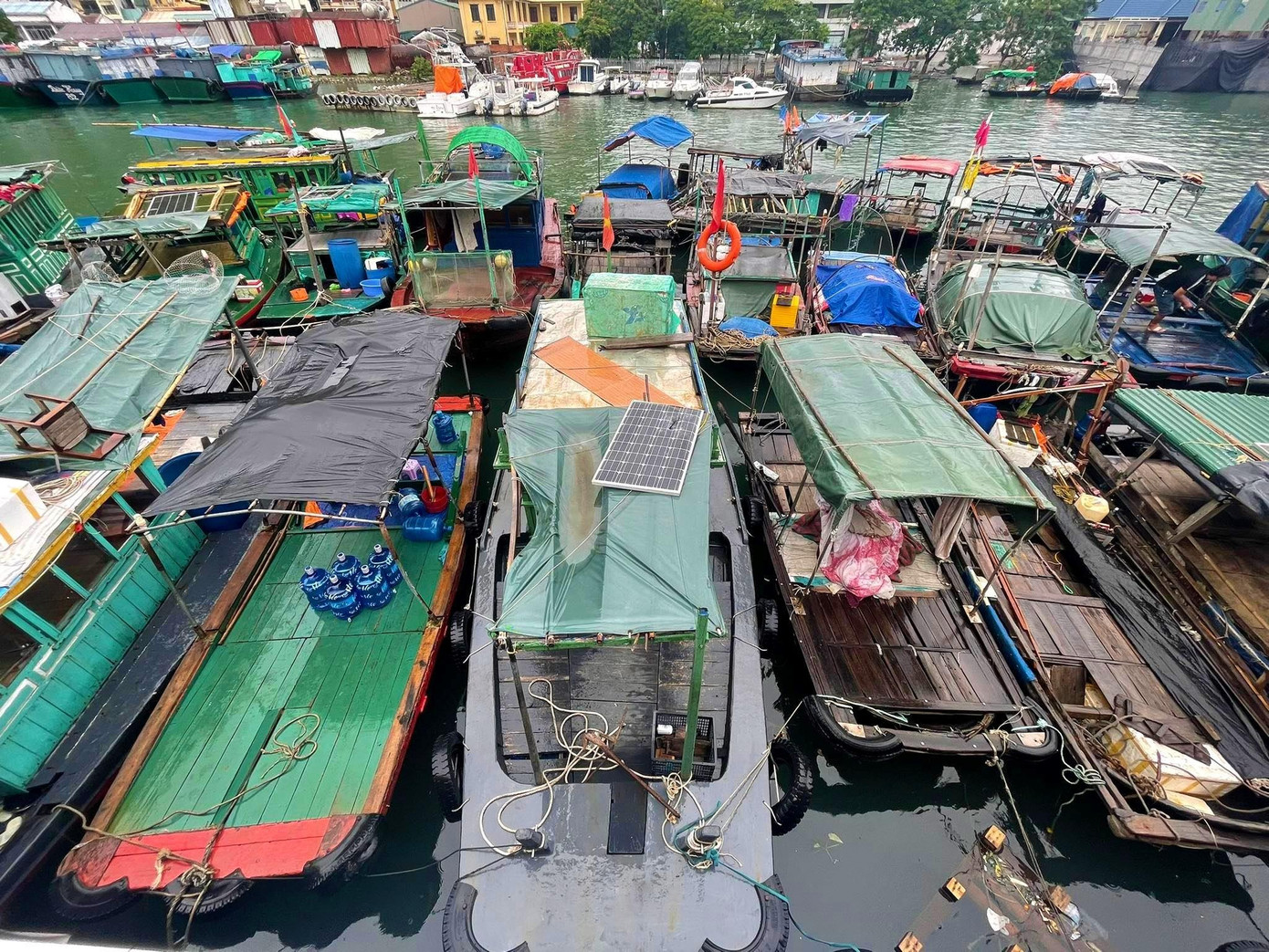 Bộ Chỉ huy Quân sự tỉnh Quảng Ninh cũng đã cử 200 cán bộ, chiến sỹ lực lượng thường trực, 700 cán bộ, chiến sỹ lực lượng dân quân, đề nghị các đơn vị quân đội trên địa bàn bố trí 500 cán bộ, chiến sỹ và chuẩn bị 12 ô tô, 9 tàu, xuồng sẵn sàng thực hiện công tác cứu hộ, cứu nạn trên địa bàn. Bộ Chỉ huy Quân sự tỉnh Quảng Ninh cũng đã cử 200 cán bộ, chiến sỹ lực lượng thường trực, 700 cán bộ, chiến sỹ lực lượng dân quân, đề nghị các đơn vị quân đội trên địa bàn bố trí 500 cán bộ, chiến sỹ và chuẩn bị 12 ô tô, 9 tàu, xuồng sẵn sàng thực hiện công tác cứu hộ, cứu nạn trên địa bàn.