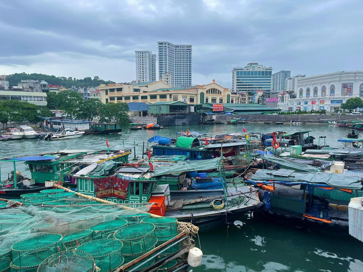 Trước thông tin dự báo ảnh hưởng của cơn bão số 2, ngay từ sáng ngày 10/8, nhiều phương tiện tàu cá của Quảng Ninh đã nhanh chóng về nơi tránh trú an toàn. Trước thông tin dự báo ảnh hưởng của cơn bão số 2, ngay từ sáng ngày 10/8, nhiều phương tiện tàu cá của Quảng Ninh đã nhanh chóng về nơi tránh trú an toàn.