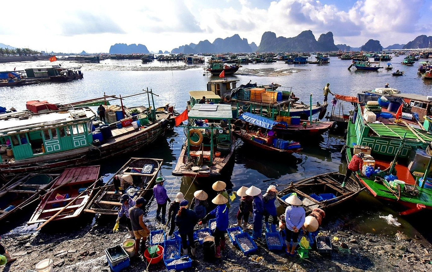 Quảng Ninh quyết định đóng cửa tạm thời chợ cá Bến Do, chợ cá đầu mối cung cấp hải sản cho nhiều huyện, thị xã, thành phố để phòng chống dịch bệnh. Quảng Ninh quyết định đóng cửa tạm thời chợ cá Bến Do, chợ cá đầu mối cung cấp hải sản cho nhiều huyện, thị xã, thành phố để phòng chống dịch bệnh.