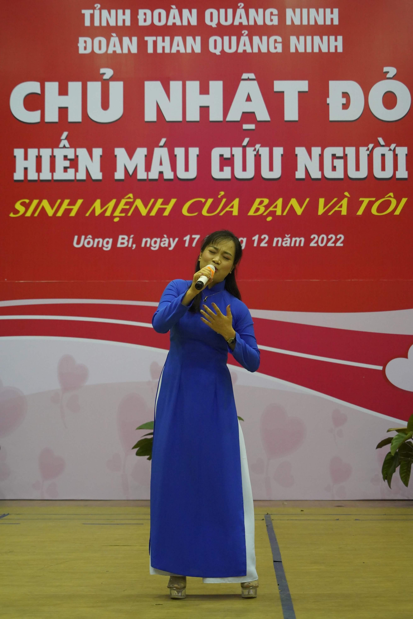 Dự kiến chương trình Chủ nhật Đỏ tại Quảng Ninh năm nay sẽ thu về trên 1.000 đơn vị máu.