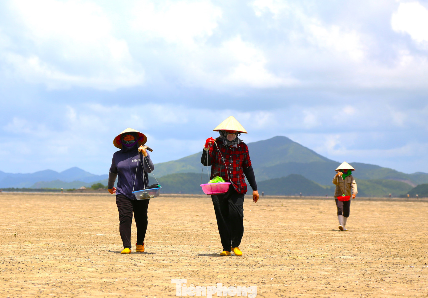 Cứ mỗi khi triều xuống để lộ ra bãi cát vàng mênh mông, người dân đảo Quan Lạn lại hò nhau đi đào sá sùng. Cứ mỗi khi triều xuống để lộ ra bãi cát vàng mênh mông, người dân đảo Quan Lạn lại hò nhau đi đào sá sùng.