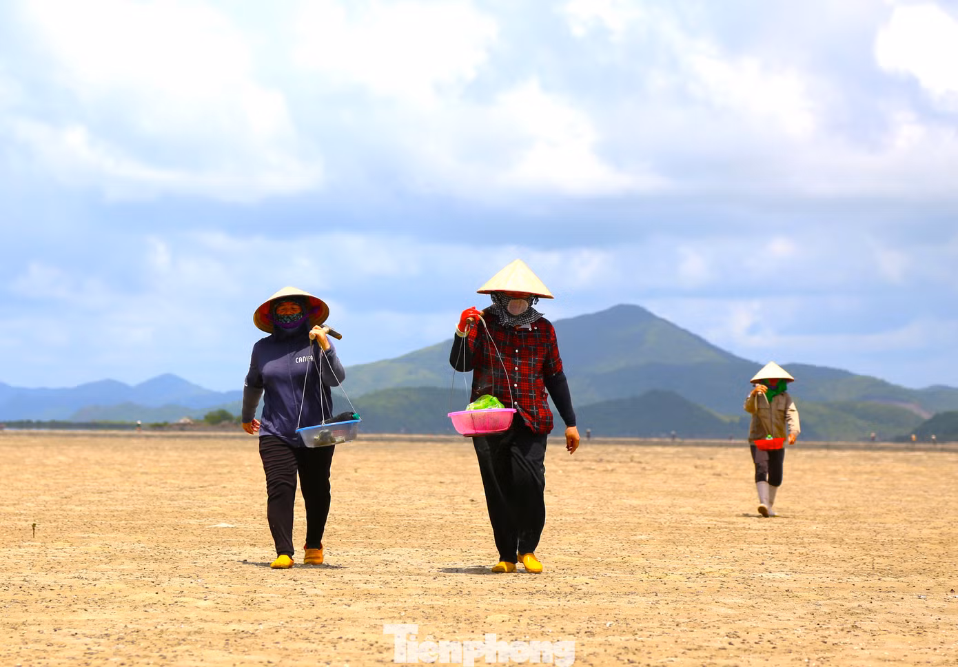 Cứ mỗi khi triều xuống để lộ ra bãi cát vàng mênh mông, người dân đảo Quan Lạn lại hò nhau đi đào sá sùng.