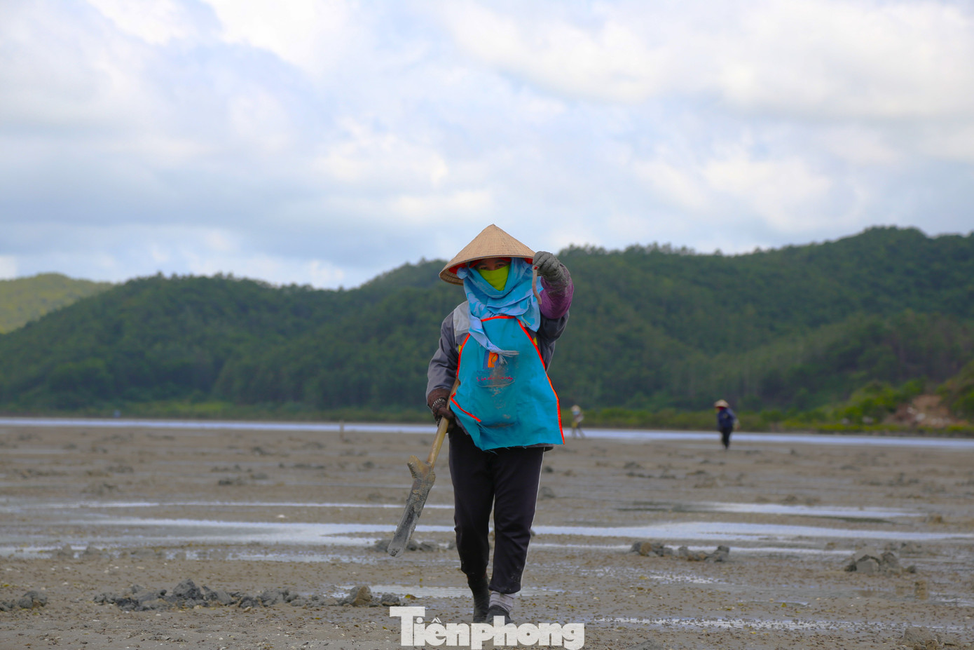 Theo Phó chủ tịch UBND xã Quan Lạn ông Hoàng Huy Sầm, hiện tại ở xã có khoảng 400 lao động nữ làm nghề đào sá sùng. Mỗi tháng có thể khai thác sá sùng 20 ngày liên tục, những ngày còn lại thuỷ triều cao sẽ là thời gian nghỉ ngơi cho người dân. Theo Phó chủ tịch UBND xã Quan Lạn ông Hoàng Huy Sầm, hiện tại ở xã có khoảng 400 lao động nữ làm nghề đào sá sùng. Mỗi tháng có thể khai thác sá sùng 20 ngày liên tục, những ngày còn lại thuỷ triều cao sẽ là thời gian nghỉ ngơi cho người dân.