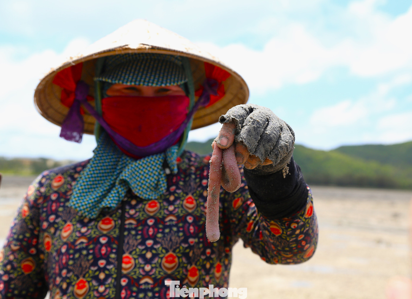 Sá sùng Quan Lạn được ví như "vàng ròng" bởi khí hậu, thổ nhưỡng, nguồn nước ở đây thích hợp để sá sùng phát triển và có chất lượng tốt nhất. Sá sùng Quan Lạn được ví như "vàng ròng" bởi khí hậu, thổ nhưỡng, nguồn nước ở đây thích hợp để sá sùng phát triển và có chất lượng tốt nhất.