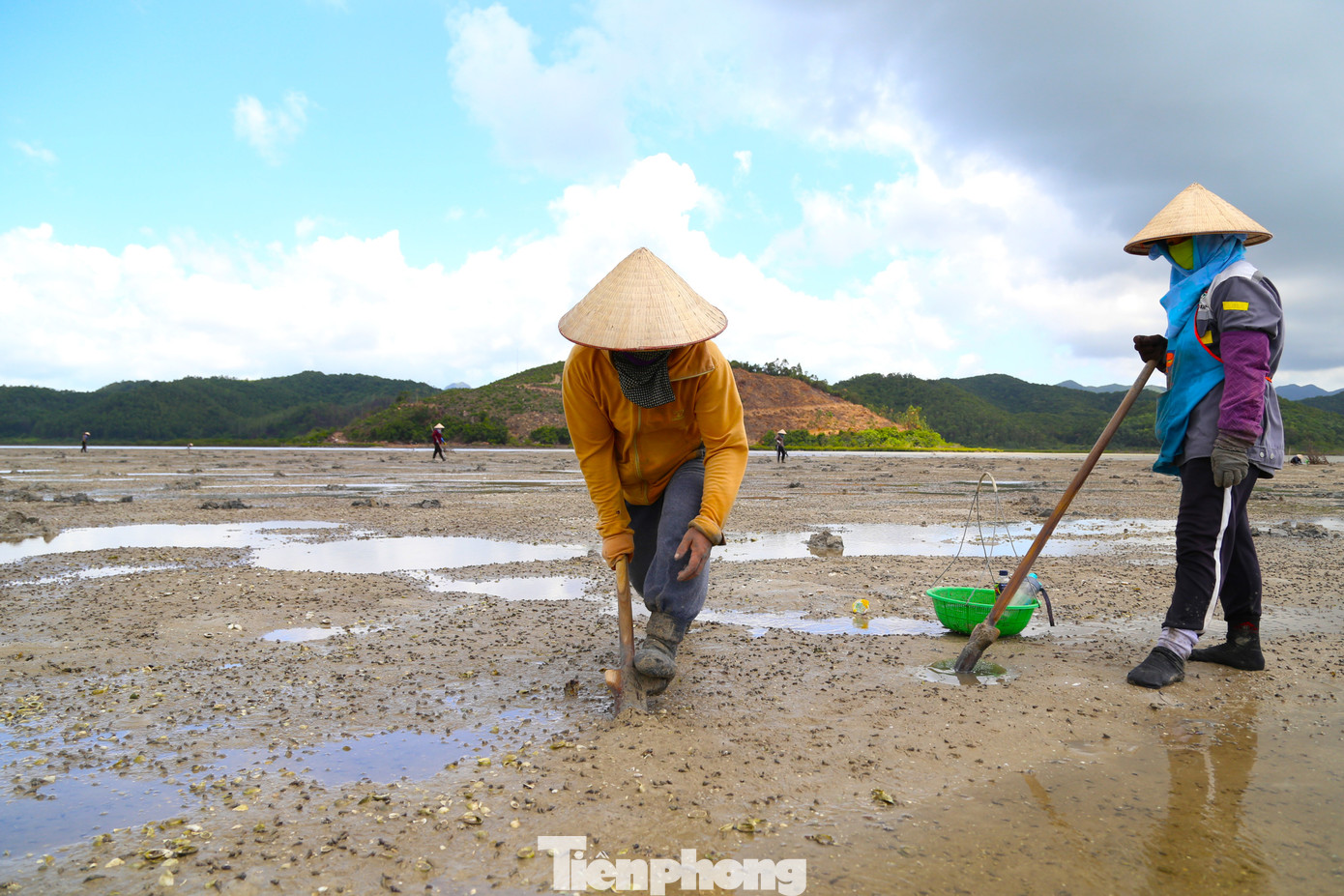 "Sá sùng là loài ưa mát, cho nên thuỷ triều vừa xuống là phải đi đào ngay, để lâu trời nắng sẽ khiến mặt đất nóng, sá sùng sẽ chui sâu xuống bùn", cô Nguyễn Thị Lan, người dân xã đảo Quan Lạn chia sẻ. "Sá sùng là loài ưa mát, cho nên thuỷ triều vừa xuống là phải đi đào ngay, để lâu trời nắng sẽ khiến mặt đất nóng, sá sùng sẽ chui sâu xuống bùn", cô Nguyễn Thị Lan, người dân xã đảo Quan Lạn chia sẻ.