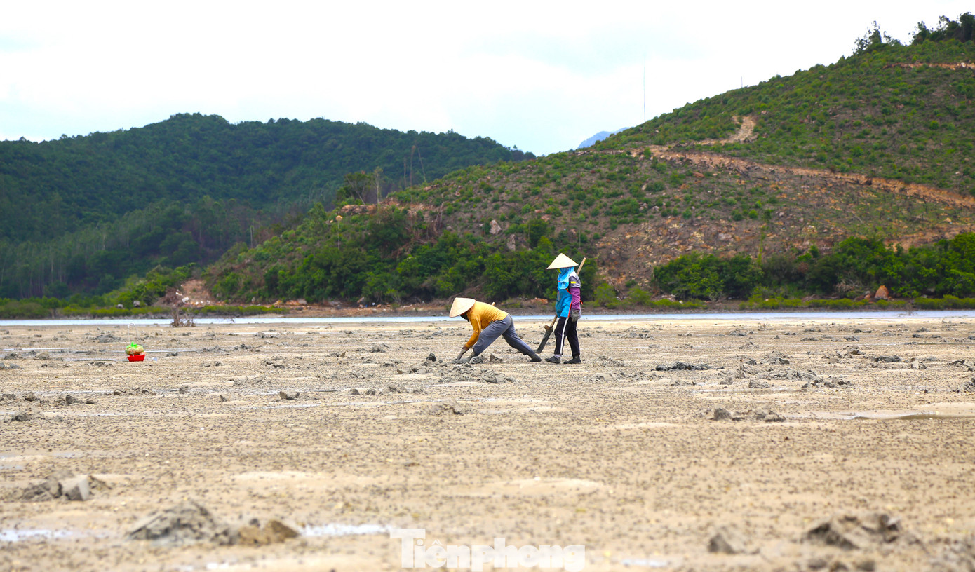 Hiện nay, xã đảo Quan Lạn đang bị thu hẹp dần diện tích khai thác sá sùng bởi nhiều yếu tố. Ô nhiễm môi trường, nhiều bãi cát được cấp mỏ khai thác và việc nhiều người săn lùng loại "vàng ròng" trên cát này khiến số lượng sá sùng ngày càng ít đi. Hiện nay, xã đảo Quan Lạn đang bị thu hẹp dần diện tích khai thác sá sùng bởi nhiều yếu tố. Ô nhiễm môi trường, nhiều bãi cát được cấp mỏ khai thác và việc nhiều người săn lùng loại "vàng ròng" trên cát này khiến số lượng sá sùng ngày càng ít đi.