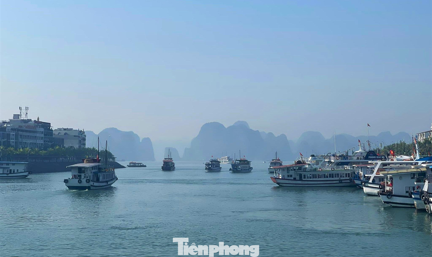 Đội tàu du lịch Hạ Long nối đuôi nhau đón khách ra thăm vịnh sau quãng thời gian dài nằm bờ vì dịch bệnh.