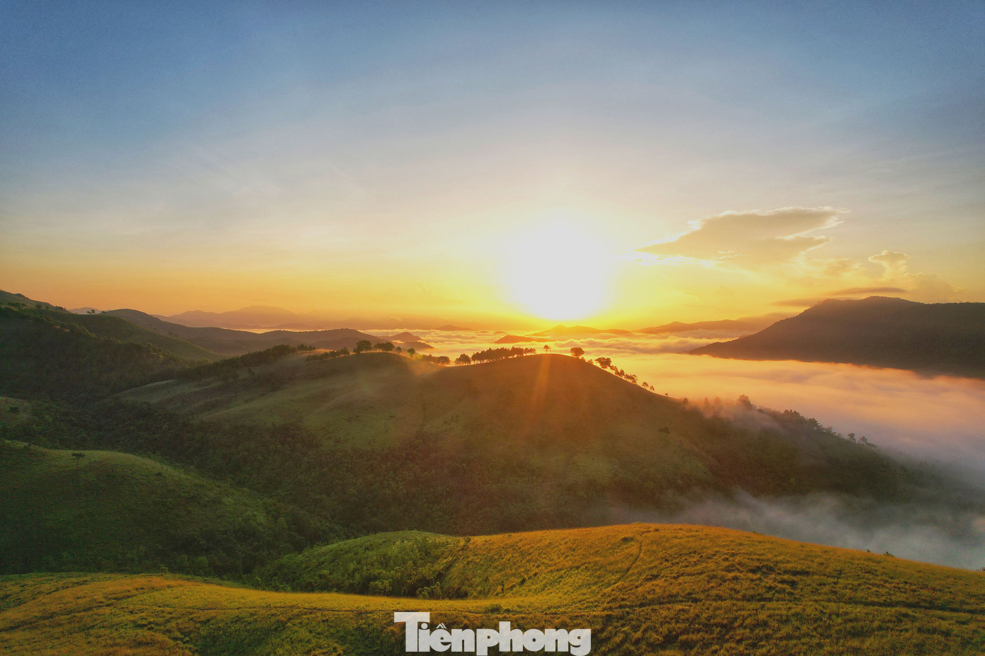 Ở Phượng Hoàng, những đồi cỏ xanh mướt trải dài, nhấp nhô theo những ngọn đồi đổi sắc theo mùa.