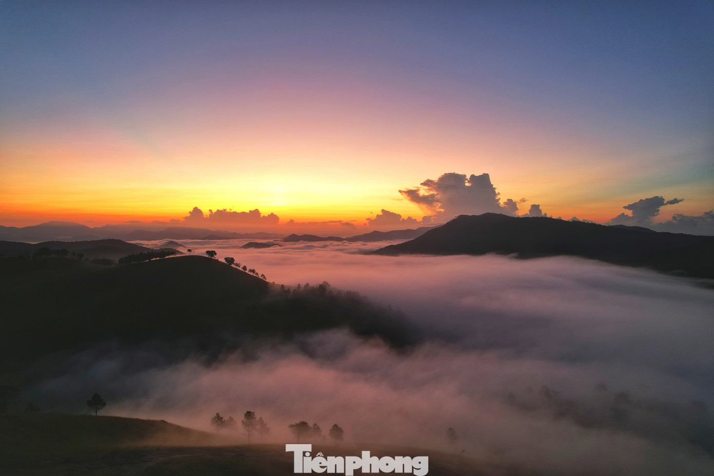 Cảnh mây vờn núi, luồn qua những tán cây phía chân đồi trước bình minh, như lạc vào chốn bồng lai tiên cảnh.