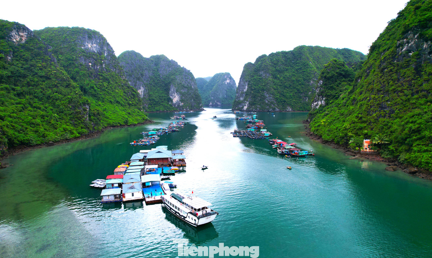 Môi trường vịnh Hạ Long được cải thiện nhờ nỗ lực của các cơ quan chức năng. Môi trường vịnh Hạ Long được cải thiện nhờ nỗ lực của các cơ quan chức năng.