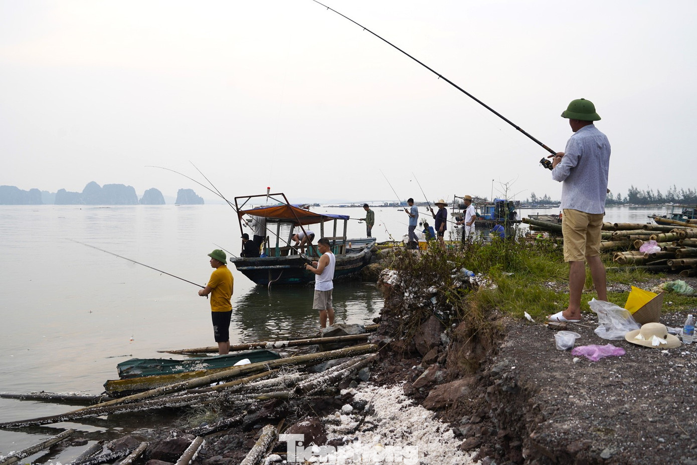 Với Hạ Long và Quảng Yên, ngư dân nuôi biển gần như mất trắng.
