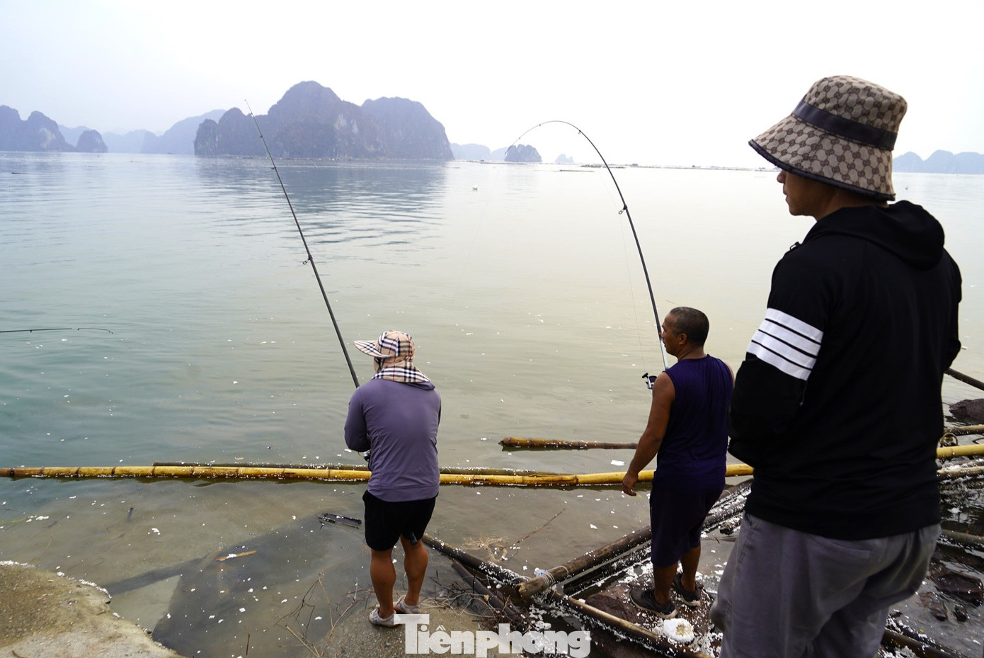 "Mấy ngày đầu đi câu để mang về ăn nhưng số lượng cá nhiều quá, anh em chúng tôi thống nhất bán rẻ lại cho ngư dân nuôi biển để họ vực dậy kinh tế. Chỉ cần mang ra chợ bán nhanh cũng được hơn 200 nghìn đồng/1kg cá song. Nhưng thấy thiệt hại của bà con quá lớn, nhiều anh em khi câu được cá còn mang trả lại cho chủ các lồng bè", anh Hà, một người câu cá chuyên nghiệp ở Hạ Long nói.