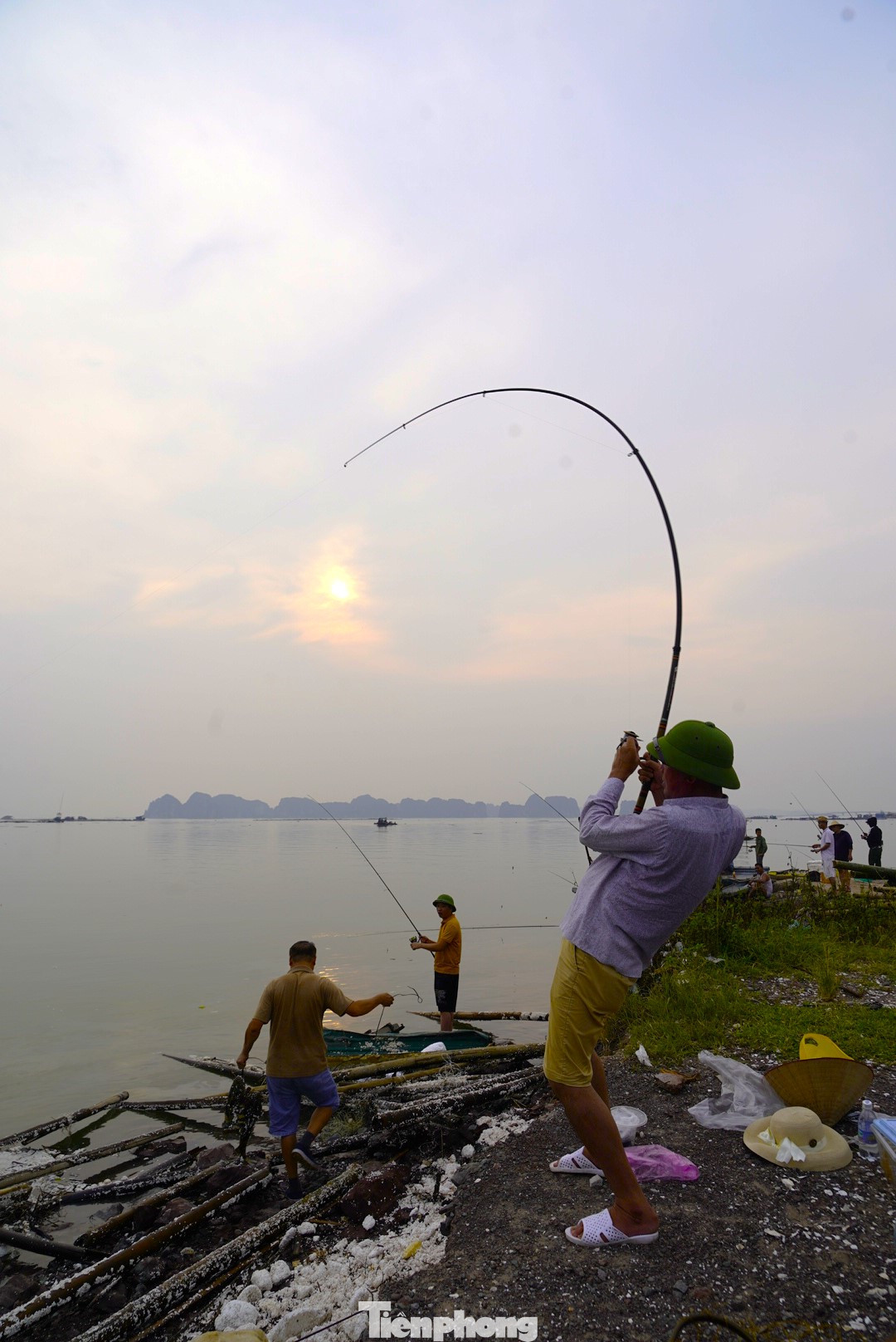 Bão YAGI đã tàn phá hầu hết các lồng bè nuôi biển của ngư dân, hàng nghìn tấn cá như cá song, cá vược, cá chim... bị sổng ra biển.