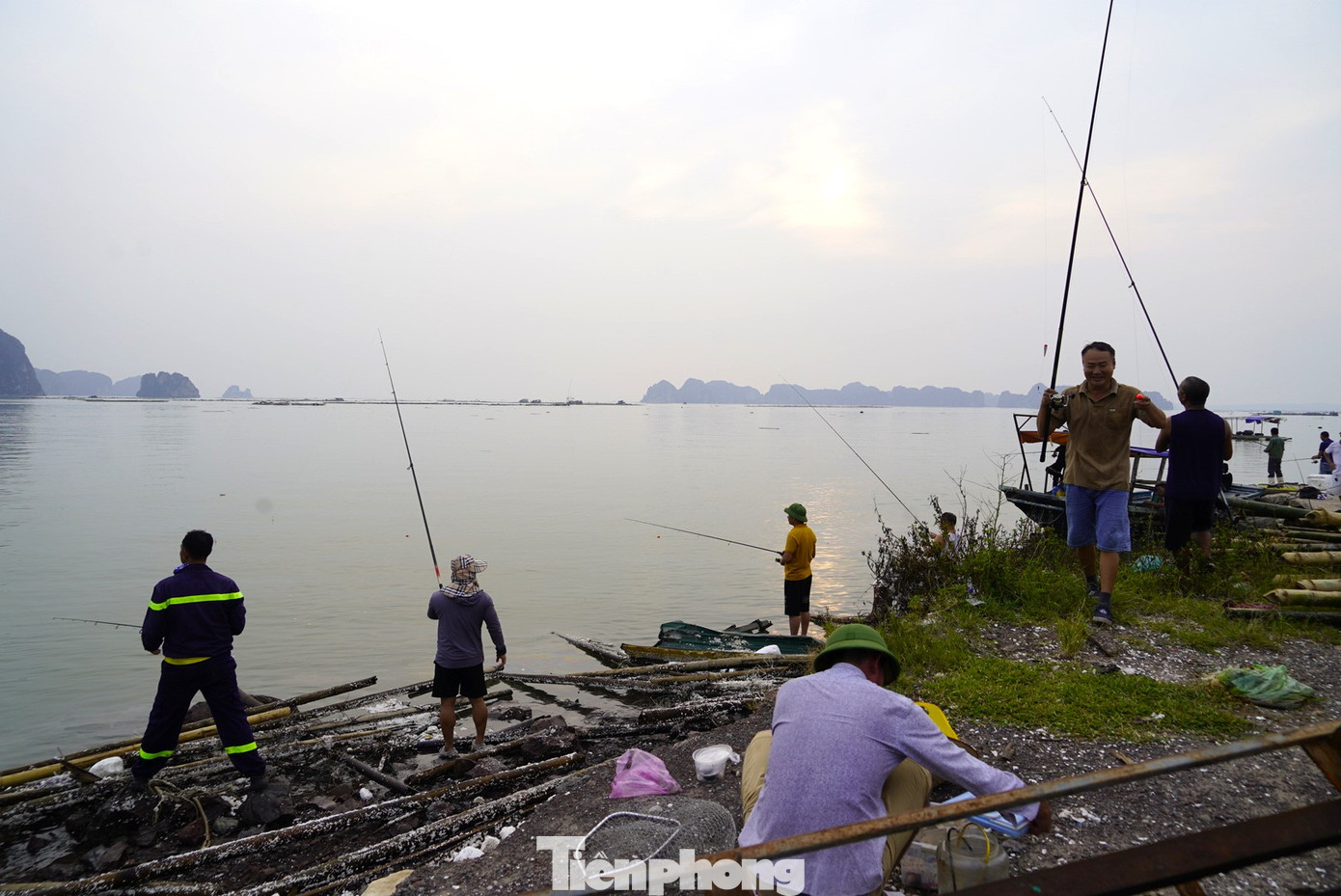 Người may mắn mỗi ngày có thể câu được hàng chục cân cá. Người ít nhất cũng được vài cân mang về nhà.